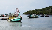 Fishery sector takes various measures to get EC yellow card removed