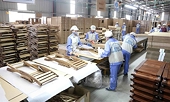 Vietnam’s wood exporters under FSC standard pressure