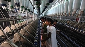 Indian govt rejects levy of anti-dumping duty on monoethylene glycol