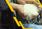 Vietnam aims for 1 million hectares of high-quality rice