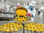 Boosting niche markets key to maintaining exports