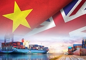 Vietnamese exporters having advantages in UK: trade counsellor