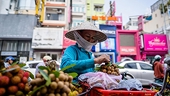 Fruit Exports: Will Vietnam Reach Thailand Volumes?