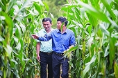 Self-control of animal feed materials to reduce imports