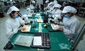 Solutions sought to further exploit niche markets in Europe