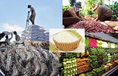 Vietnam’s agro-forestry-fishery exports face UKVFTA-related opportunities, challenges