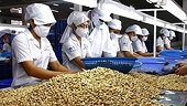 Export goods needs to penetrate deeply into niche markets