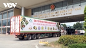 China proposes re-signing protocol for seven kinds of Vietnamese fruit