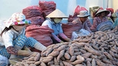 China tightens regulations on agricultural imports