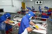Vietnam’s imports, exports see exceptionally strong performance