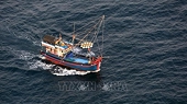 IUU fishing combat requires joint efforts of all coastal localities