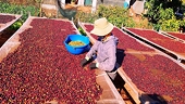 Import-export value predicted to grow next year