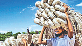 Bangladesh requests India not to extend the tenure of anti-dumping duty on imports of jute