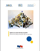 Study of the Case "European Communities — Definitive Anti-Dumping Measures on Certain Iron or Steel Fasteners from China" (DS397): Impact analysis and recommendations for Vietnam