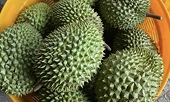 Vietnam reaps new fruit export benefits