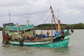 Ensure seafood exports do not violate regulations against IUU fishing