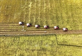 Positive signals for rice exports in 2023