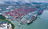 Vietnam likely to achieve US$1 trillion from foreign trade by 2025