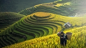 Taking advantage of opportunities, promoting agricultural exports