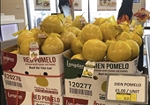 More Vietnamese farm products exported to Europe
