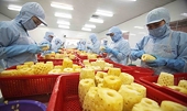 Good signs seen in fruit, vegetable export