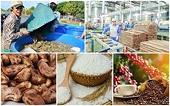 Key solution for export activities amid accelerated negotiation on new FTAs