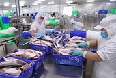Door wide open for processed, manufactured products to enter UAE