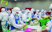 Import and export in February prospered but still faced many difficulties
