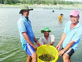 Shrimp exports face many difficulties in 2023