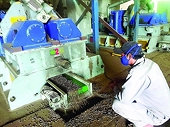 Export of wood pellets under downward pressure