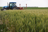 Philippines: Tariff Commission begins review on Turkish wheat flour anti-dumping duties