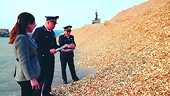 Export of wood chips will decline
