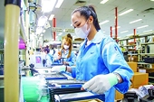 Unlocking production, markets for VN businesses