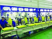 Meeting “green” standards promotes export growth