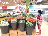 How to boost Vietnamese farm exports to Dutch market