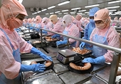 Việt Nam's shrimp industry faces many challenges in export this year