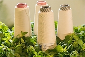 Garment sector must go green to ensure sustainable development