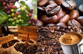 Coffee exports to Indonesia, Russia, and Algeria see triple-digit growth