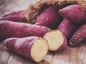 First batch of sweet potatoes officially exported to China