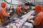 Consumption habits contribute to expanding food industry"s export markets