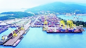 Tariff for implementation of AIFTA: Vietnam to eliminate 65% of import tariff lines