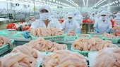 Taking advantage of opportunities for exports to China