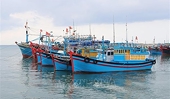 Joint efforts exerted to fight IUU fishing