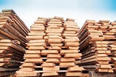 Timber exporters face sharp decline in orders