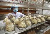 Vietnamese bird’s nests see opportunities to enter Chinese market
