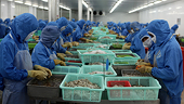 Fishery product exports unlikely to achieve US$10 billion