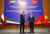 CEPA Agreement: Leverage to promote Vietnam-UAE economy, trade