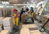 Vietnamese wood exports decrease over five-month period