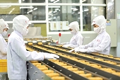 EU relaxes food safety regulation for Vietnamese instant noodles
