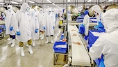 Exports are difficult, seafood enterprises adjust revenue in 2023